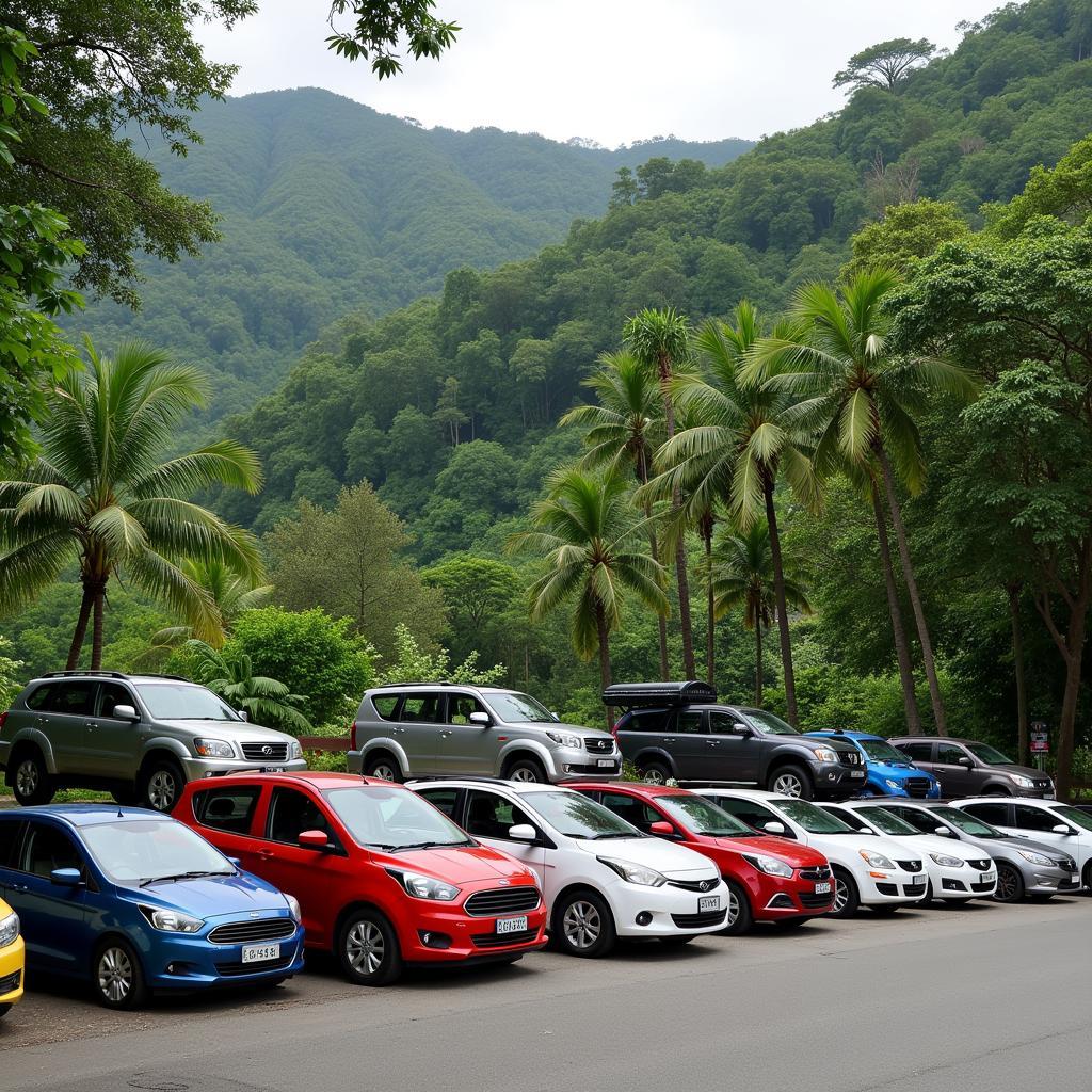 Costa Rica Car Rental Options