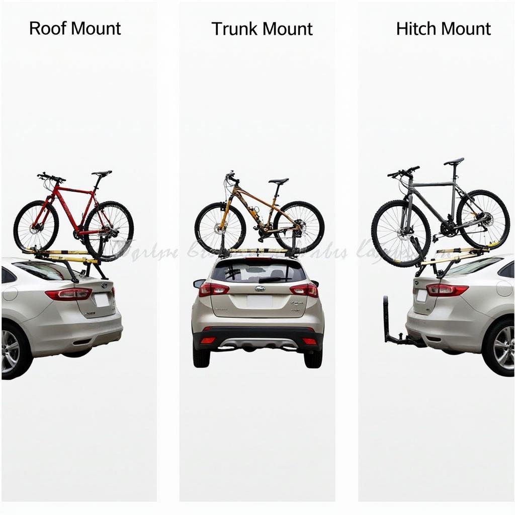 Car Bike Rack Options