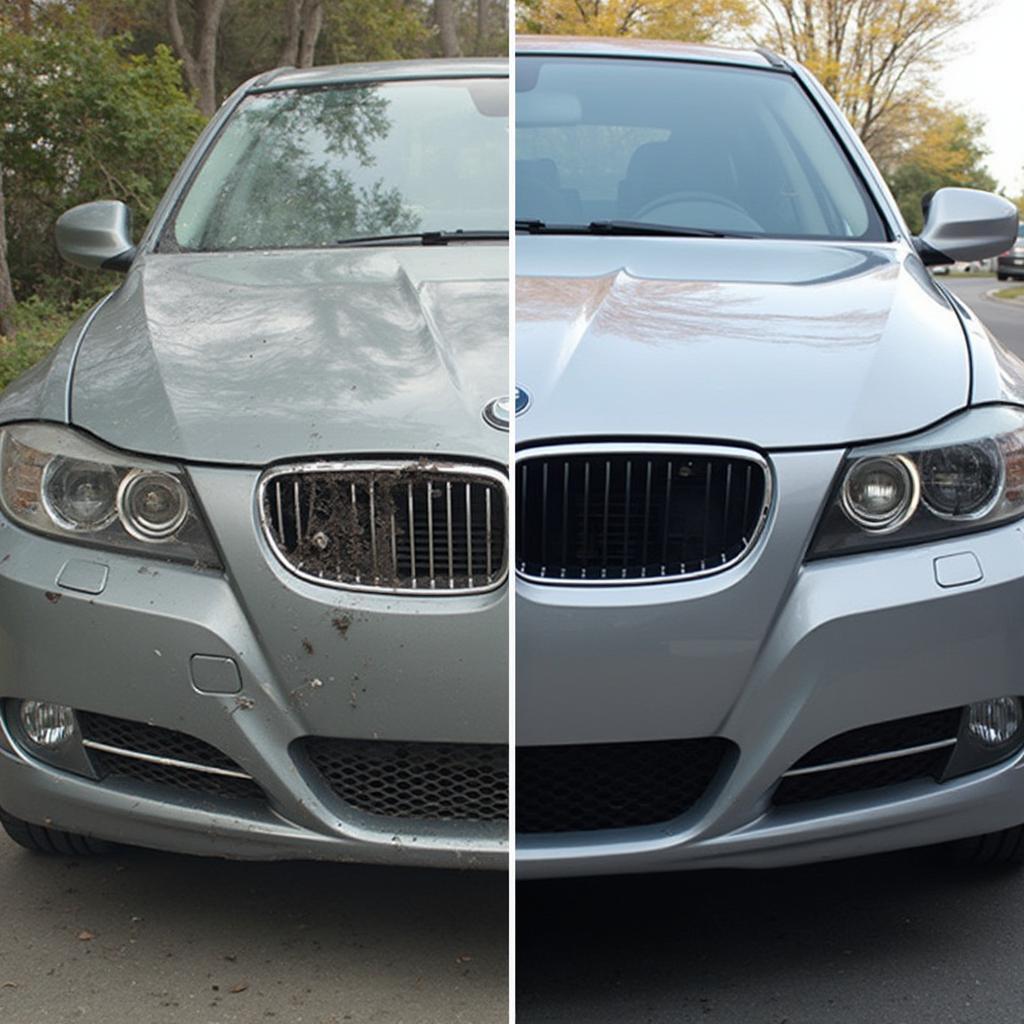 Car Detailing Before and After Comparison