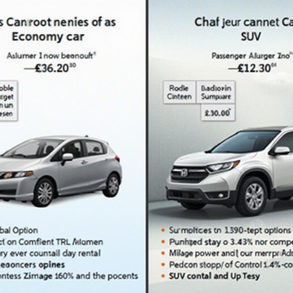 Comparing Different Car Hire Options