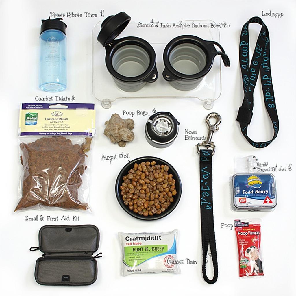 Essential Items in a Dog Travel Kit for Car Trips