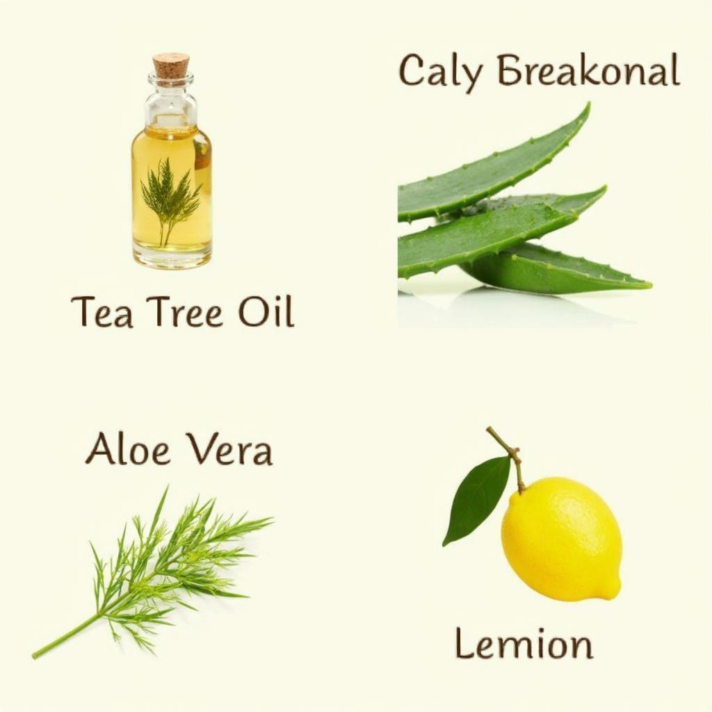 Home Remedies for Oily and Acne-Prone Skin