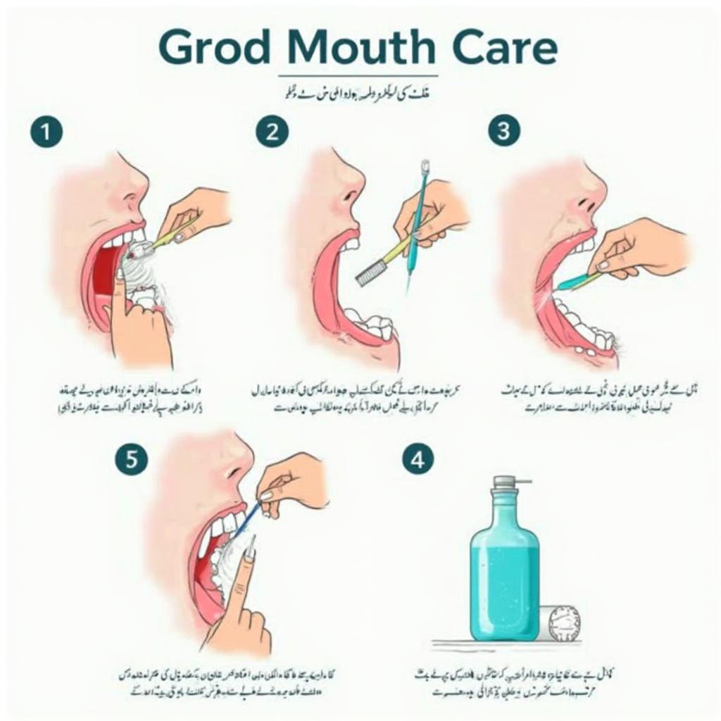 Daily Mouth Care Routine in Urdu