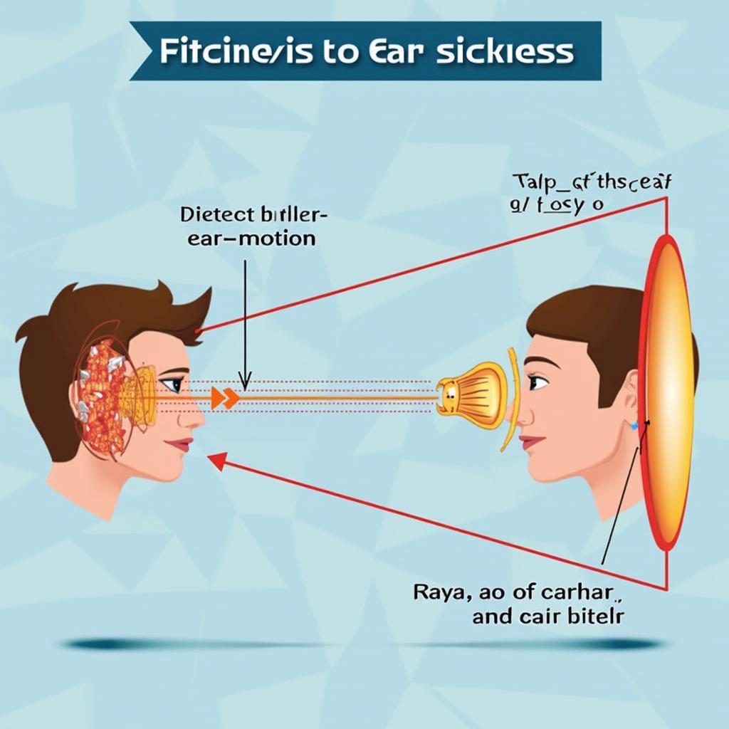 Sensory Conflict and Car Sickness