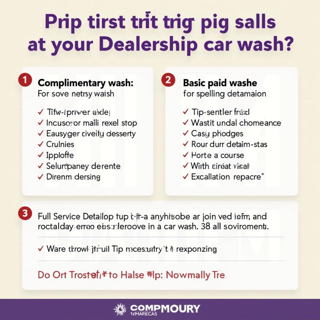 Tipping Scenarios at a Dealership Car Wash