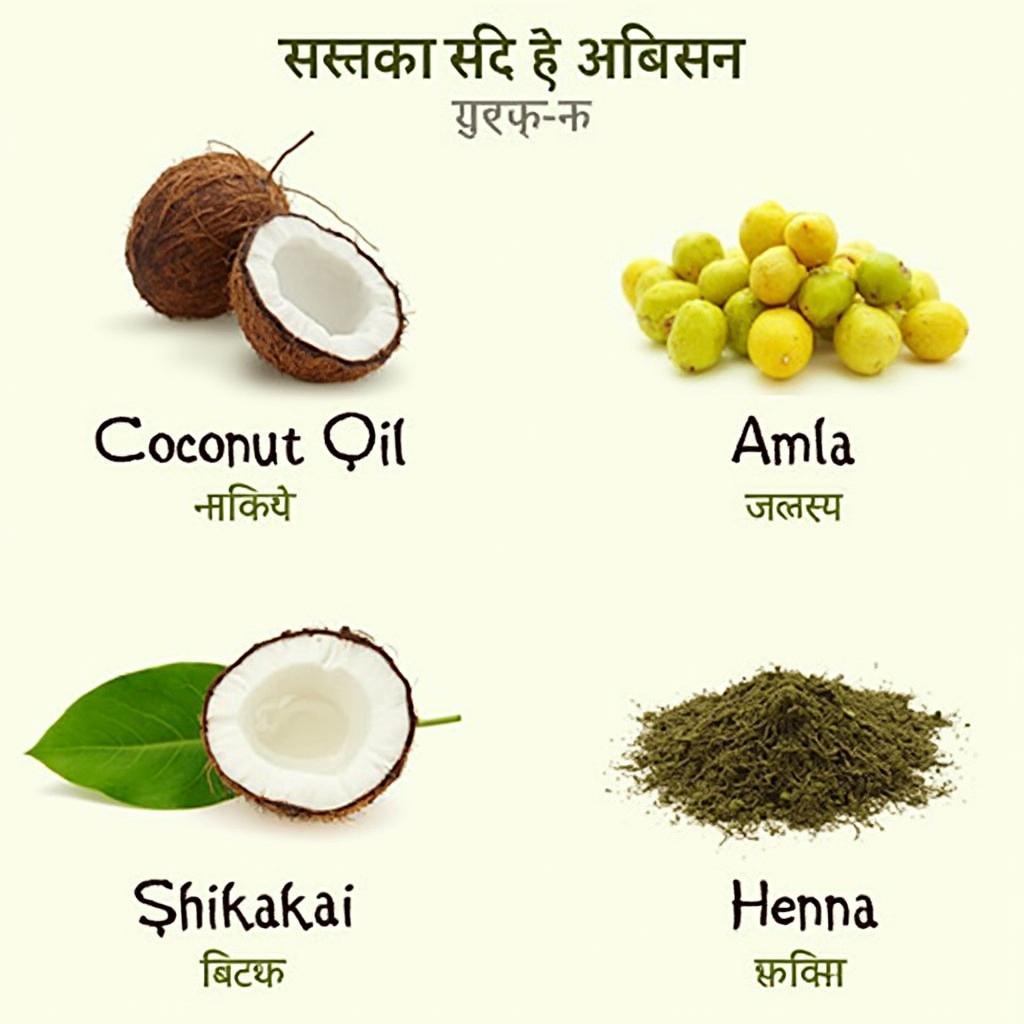 Traditional Indian Hair Care Ingredients