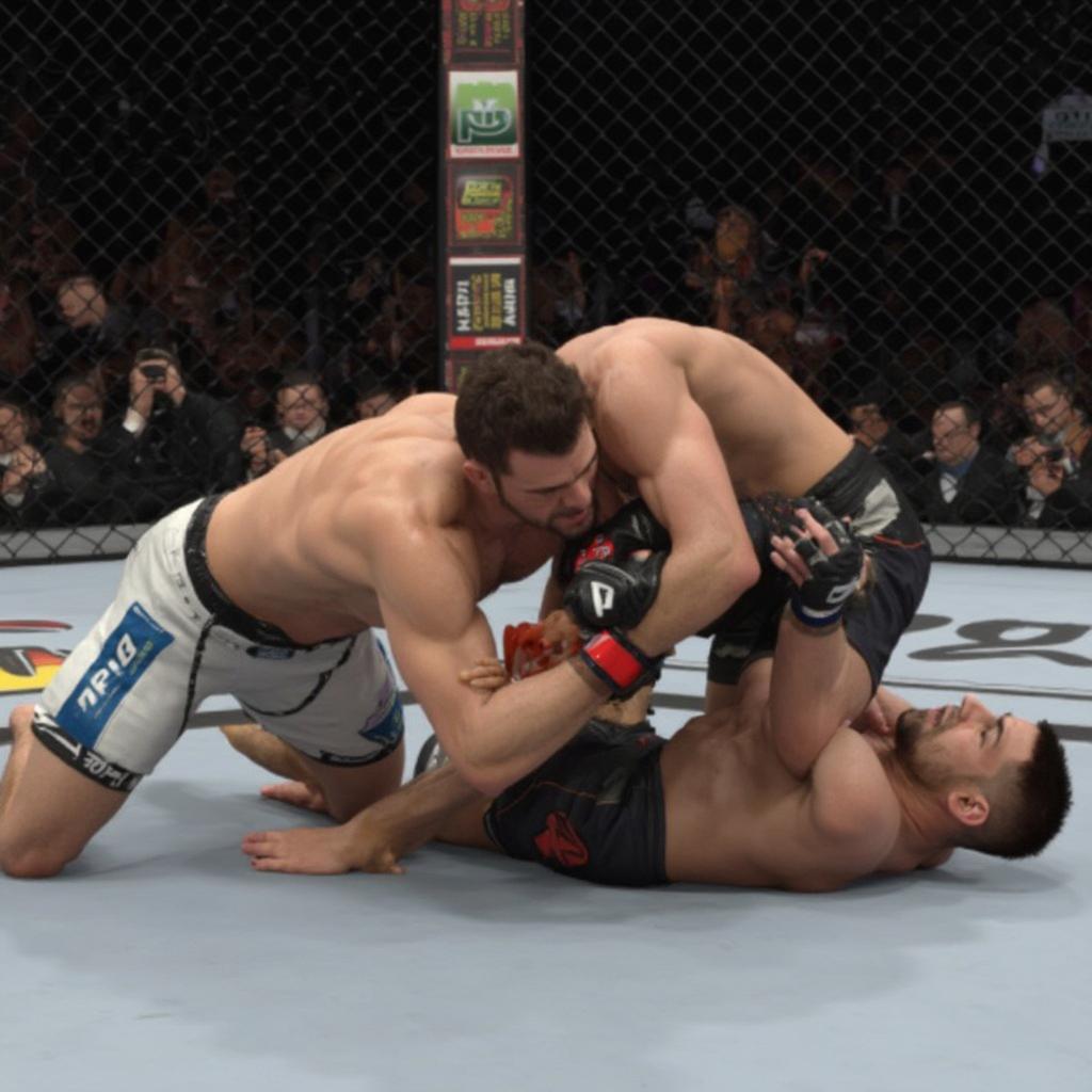 Dominating the Ground Game in UFC 2