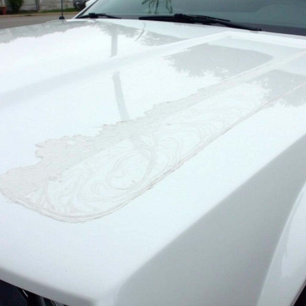 White car with visible swirl marks from improper washing