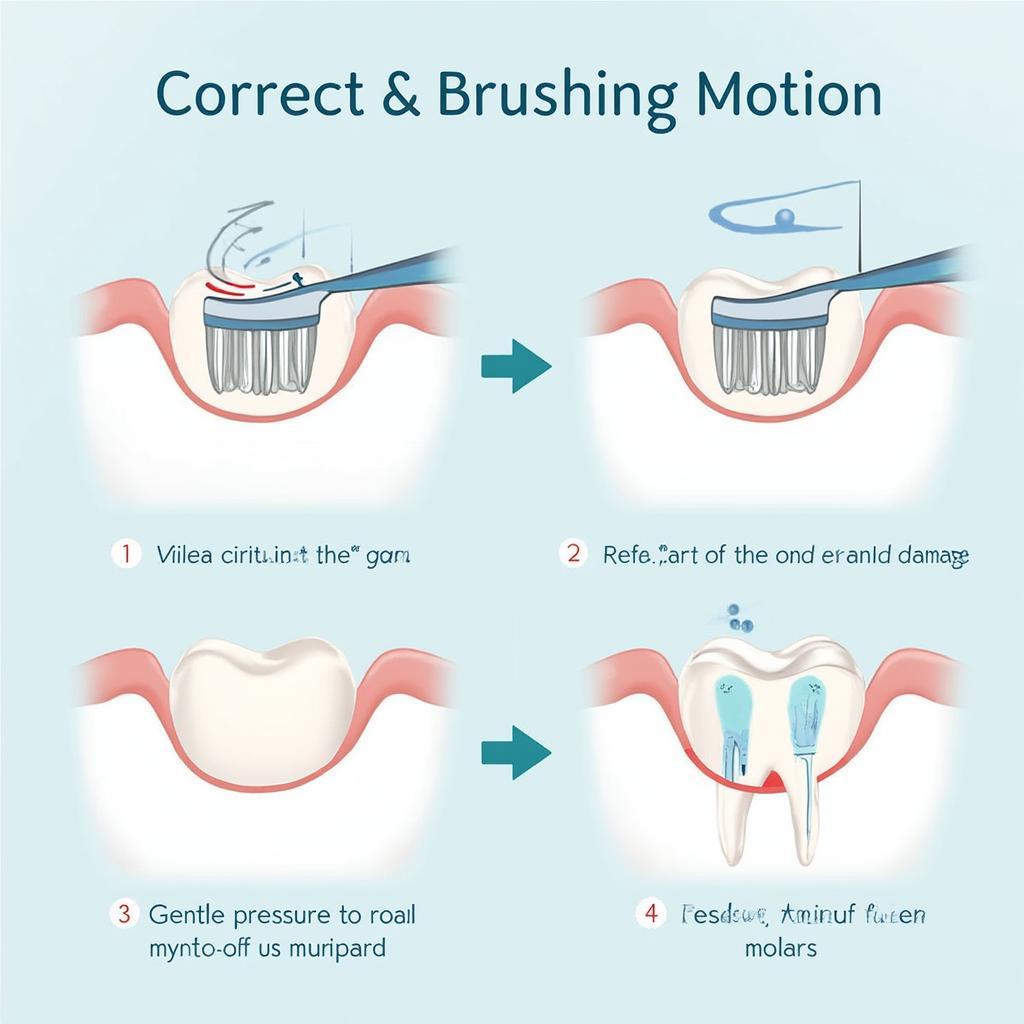 Proper Brushing Technique for Effective Teeth Care